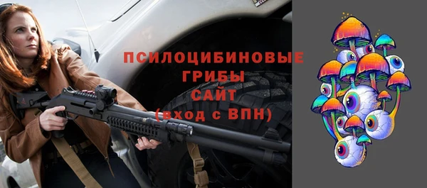 дмт Бугульма