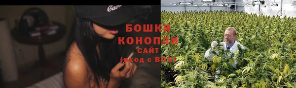 гидра Богородск