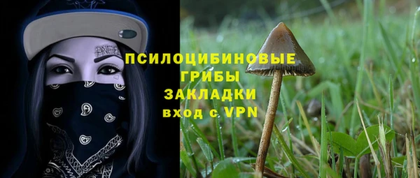 круглые Бородино