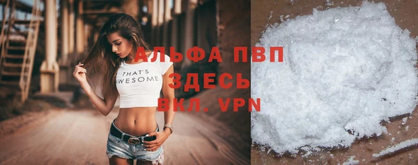 сатива Богородицк