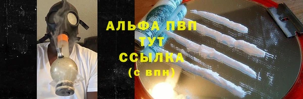 ешки Богданович