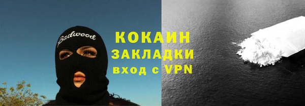 гидра Богородск