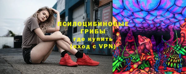 гидра Богородск