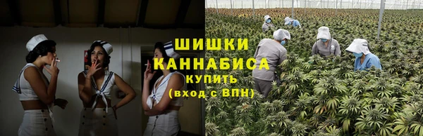 сатива Богородицк