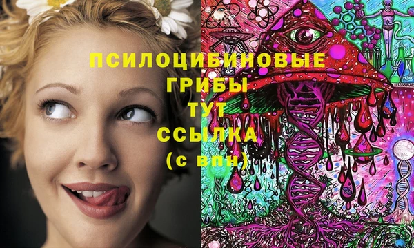 сатива Богородицк