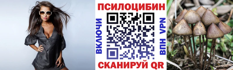 Галлюциногенные грибы мухоморы Горно-Алтайск