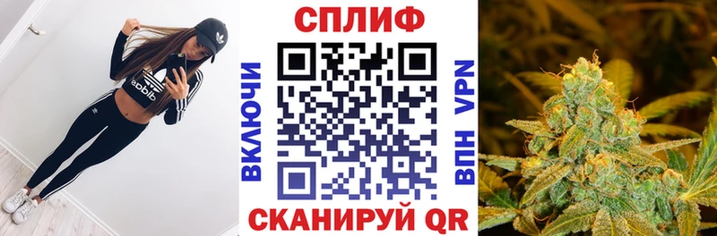 Канабис AK-47  Горно-Алтайск 